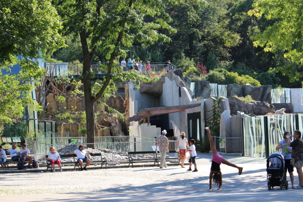 Zoo Schoenbrunn08