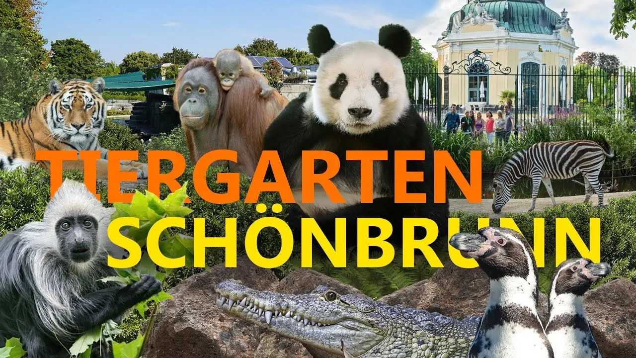 Zoo Schoenbrunn15